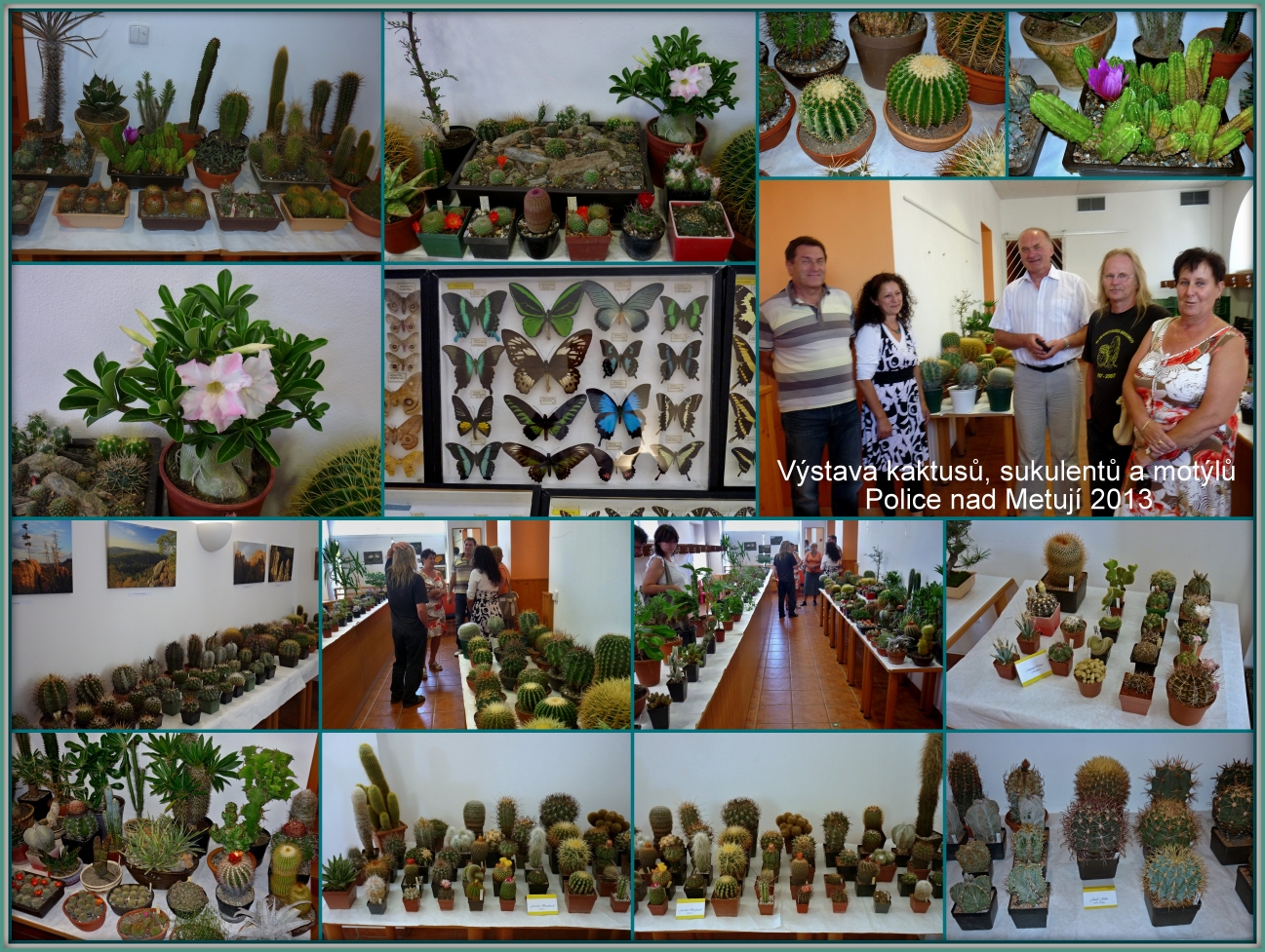 Výstava kaktusů v Polici nad Metují - 2013